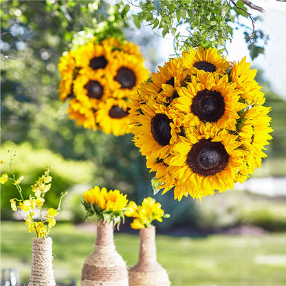 Sublime Garden Hanging Arrangement –  My Flower Market, Santa Ana CA