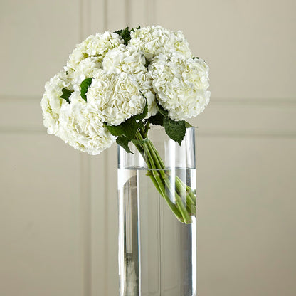 White Hydrangea Hand-Tied Bouquet –  My Flower Market, Santa Ana CA