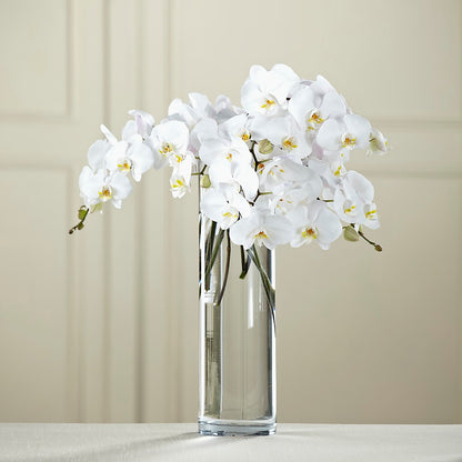 White Phalaenopsis Bouquet –  My Flower Market, Santa Ana CA